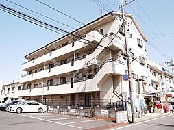 ベルーガエムケイ