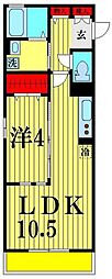 コンフォート 1LDKの間取図画像