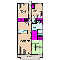 フラット日吉コートB 2階/202