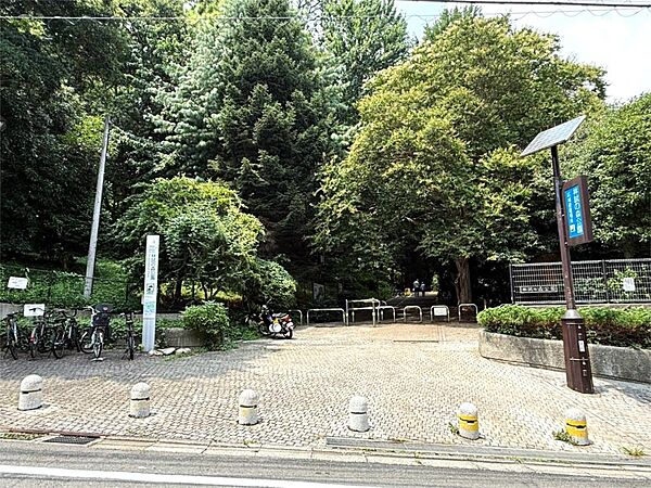 林試の森公園（150m）