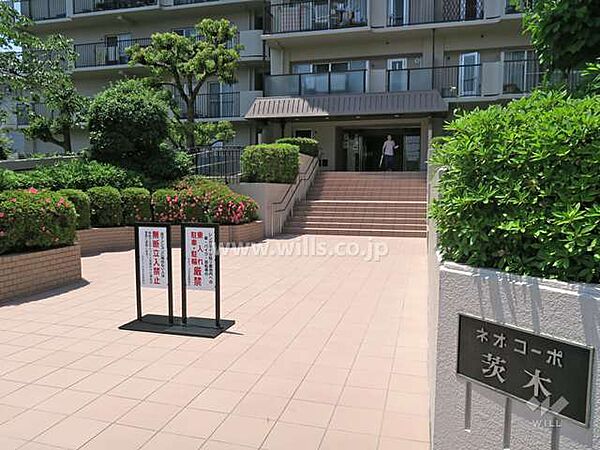 エントランスアプローチ。総戸数208戸の大規模マンションです。敷地内には植栽が整えられており、管理が行き届いています。