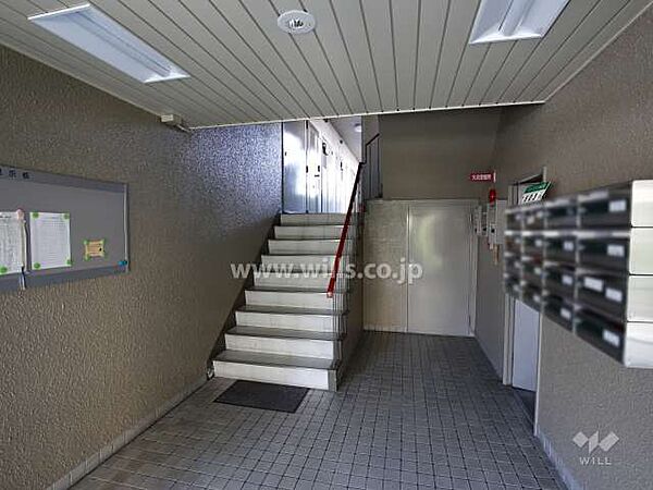エントランスホール（共用ポスト）2026年1月室内一部リフォーム実施！南向き住戸につき採光良好！専用庭ではガーデニングやプールが楽しめそうです！