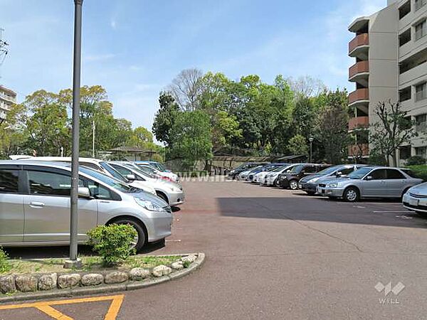 敷地内駐車場（屋外平面式）平面式の駐車場は車の出し入れがスムーズ！最新の空き状況につきましてはお問合せください。