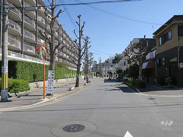 敷地南側の前面道路