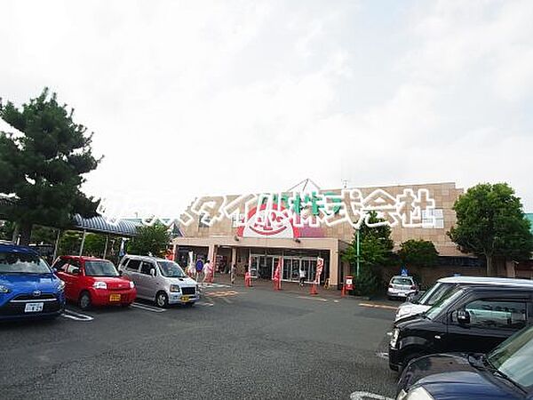 画像25:【スーパー】スーパーアルプス愛川店まで566ｍ