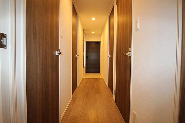 玄関 アルファステイツ熊本駅東 10階/1003