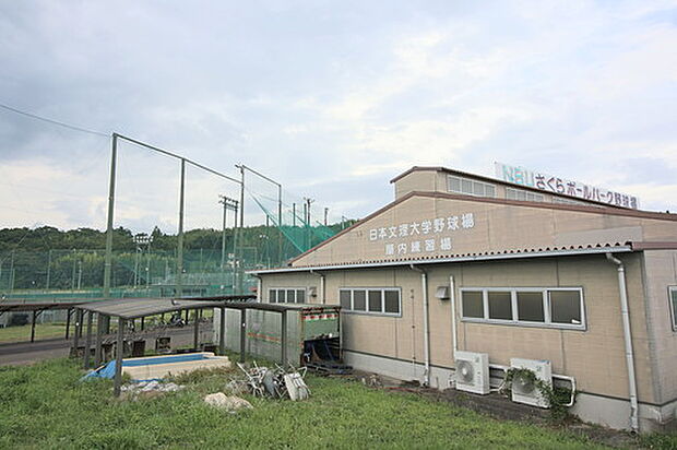 日本文理大学室内野球場