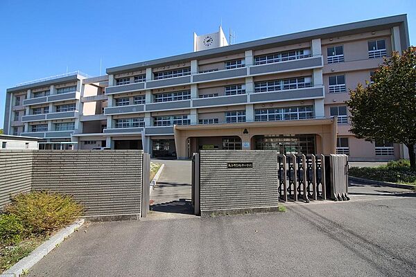 坂ノ市小学校