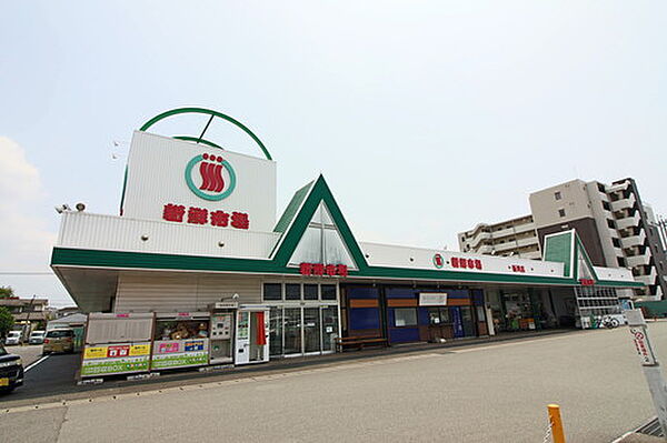 新鮮市場新川店