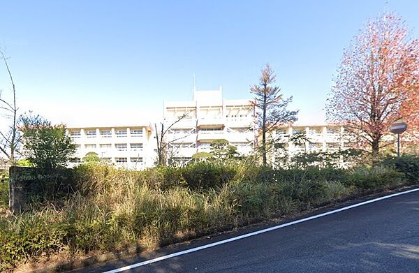 鹿児島県立明桜館高校まで3442m