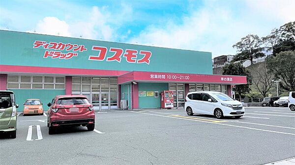 ディスカウントドラッグコスモス岸の浦店（1077m）