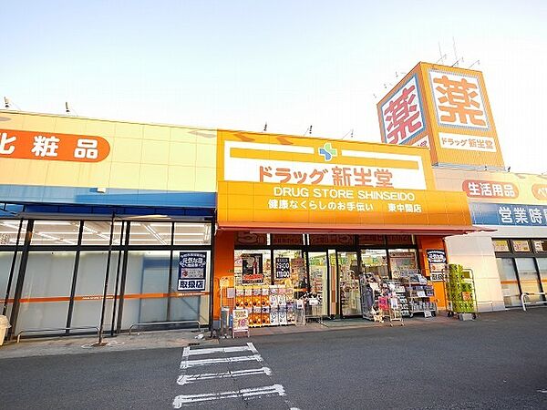 ドラッグ新生堂東中間店（935m）