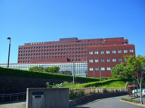私立産業医科大学