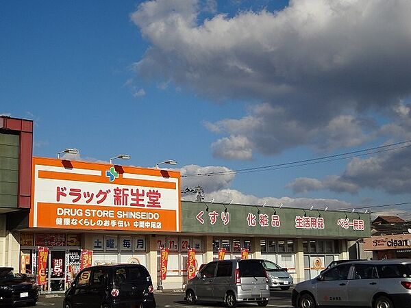 ドラッグ新生堂中間中尾店（918m）