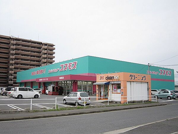 ディスカウントドラッグコスモス陣原駅店（270m）