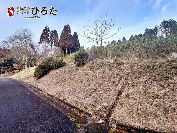 外観：344000020385