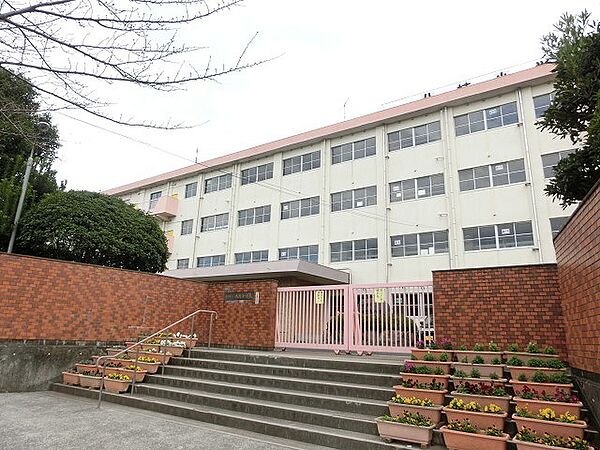北九州市立八枝小学校（893m）