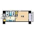 ピュアドームパラッシオ大手門7階4.5万円
