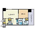アーバンローズ薬院10階8.9万円