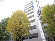 サンヒルズ博多 10階 築14年の賃貸物件