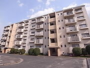 野間台住宅８棟の賃貸物件