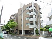 ベルメゾン昭代 5階 築36年10ヶ月の賃貸物件