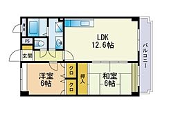 グレースコートイレブン 2LDKの間取図画像
