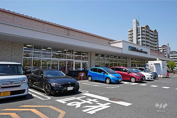 スーパーマルハチ(南芦屋浜店)の外観