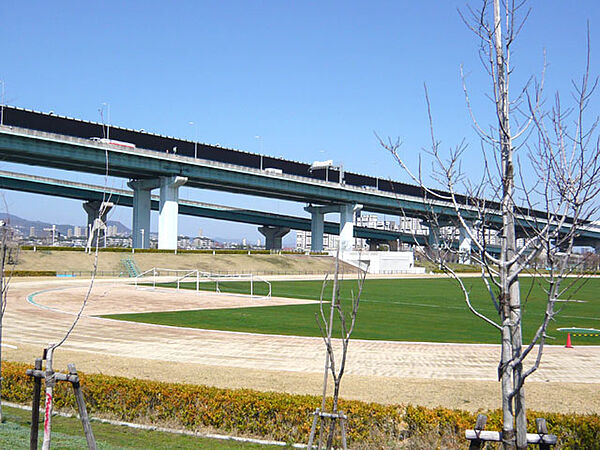 芦屋市総合公園の外観