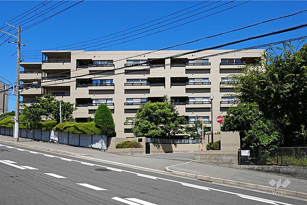 外観：328000619747