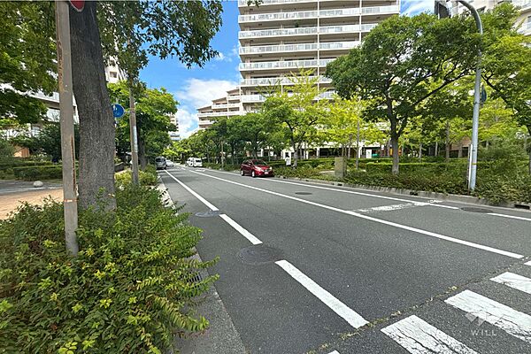 敷地東側の前面道路（南側から）