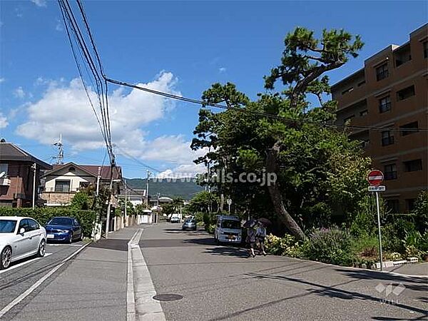敷地西側の前面道路。敷地と道との間に緑地があります。