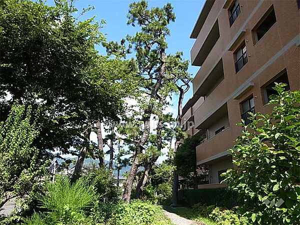 敷地西側の緑地
