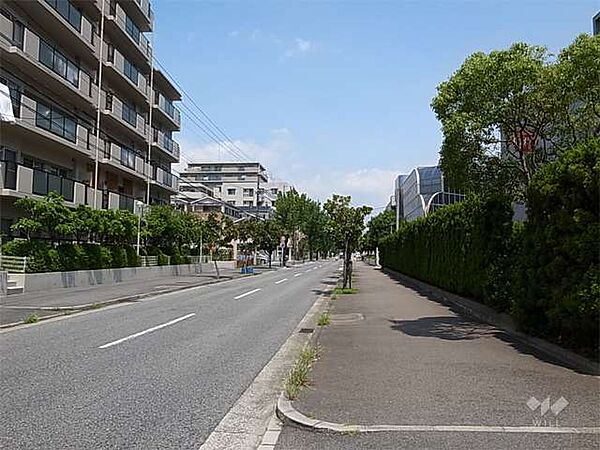 敷地の東側前面道路。周辺には住宅の他、工場もあります。