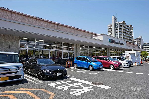 スーパーマルハチ(南芦屋浜店)の外観