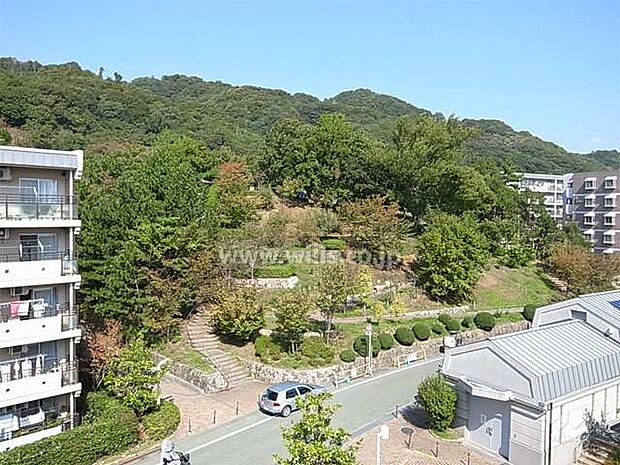 横岡公園の外観