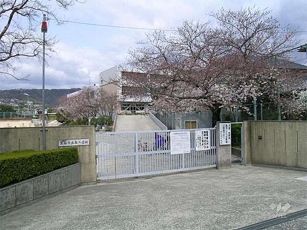 南小学校[公立]