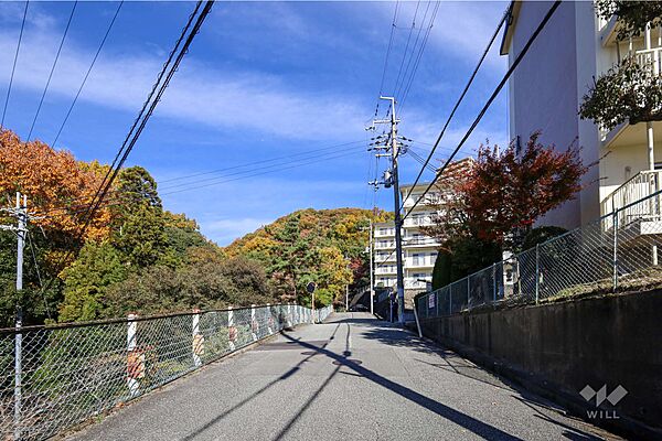 敷地西側の前面道路（南側から）