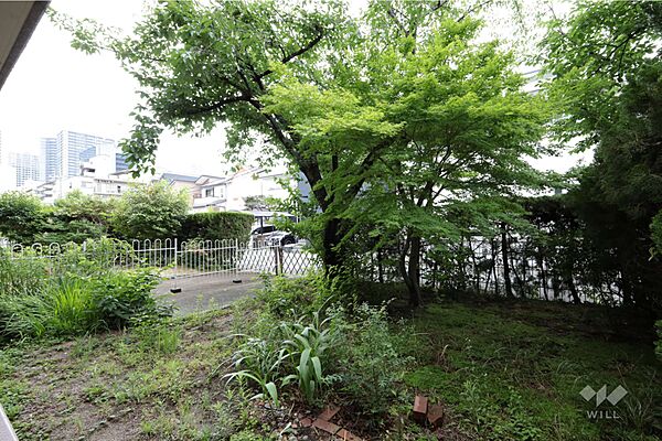専用庭。お子様がのびのびと遊んでいただくことが可能です。日光浴や家庭菜園も楽しめそうです。［2026年6月9日撮影］