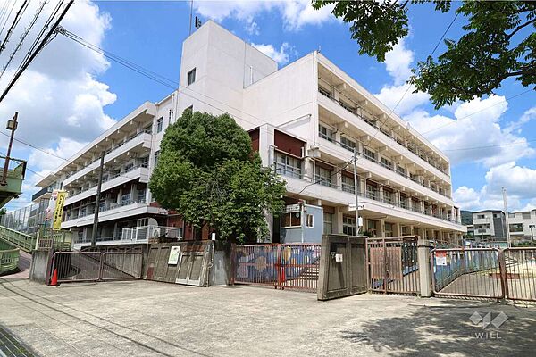 中小学校[公立]の外観