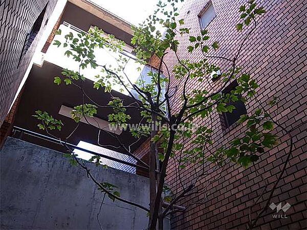 ホール中央に木が植えられています。