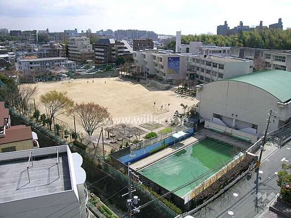 新田小学校[公立]の外観