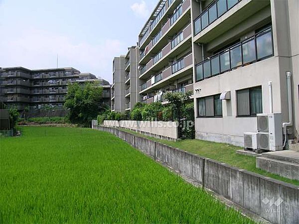 敷地南西側は現況田んぼです。（平成24年現在）
