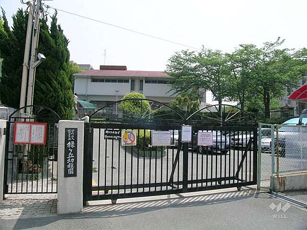 緑ヶ丘幼稚園[私立]