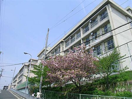 第一中学校[公立]