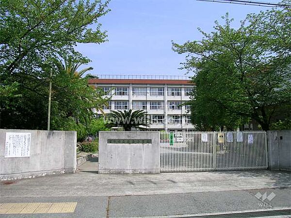 北条小学校[公立]