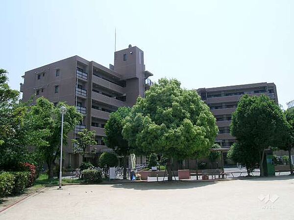 外観：327002858806