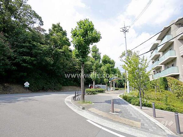 敷地西側には道を挟んで千里緑地があります。