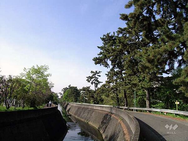 高川の外観
