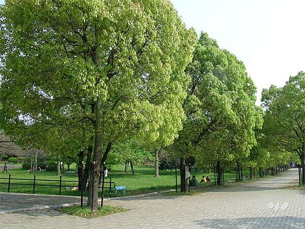 千里中央公園